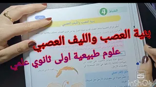 بنية العصب والليف العصبي علوم طبيعية اولى ثانوي علمي 