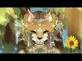 Wolf by First Aid Kit for an hour