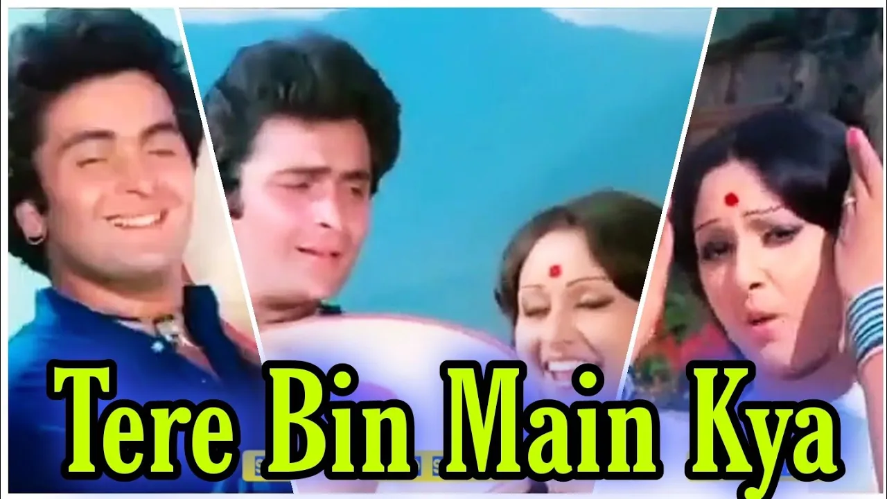 tere bin main kya mere bin tu kya / whatsapp status / Sargam /dafli Wale / Rishi Kapoor, #sadstatus