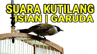 suara kutilang isian garuda