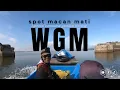 Download Lagu WGM‼️spot macan mati ikan haup poll  MP3