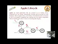 Dr SSN-Java Programming-Applets Unit 6 Lec