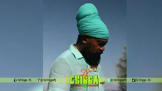 Rasta Rebel - Style