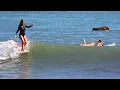 DOHENY Single Fin Surfing