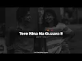 Tere Bina Na Guzara Ae - Josh Brar ft Kinza Hashmi - Perfectly (Slowed+Reverb) Song #joshbrar