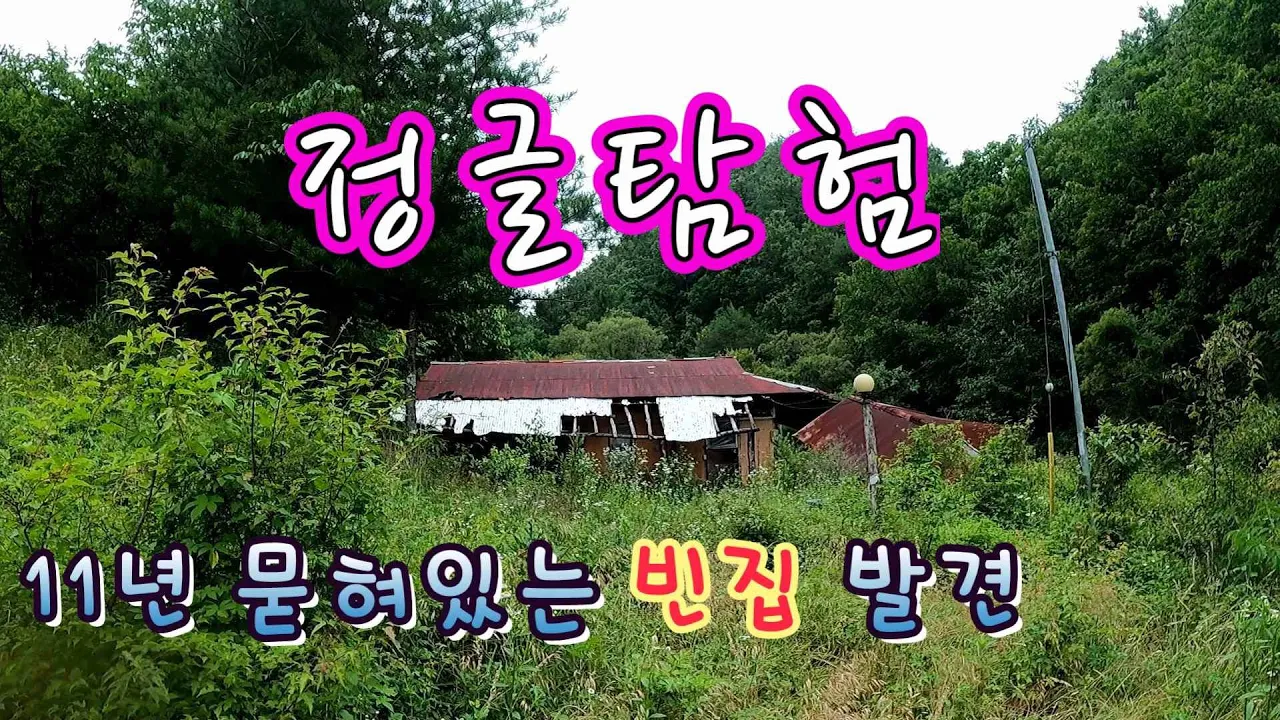 11년 동안 숲속에 묻혀있는 빈집// 긴시간 탐사끝에 발견한 화전민의 집!! サムネイル