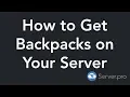 How to Setup the Minepacks Plugin - Minecraft Java
