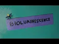 Bioluminescence and Luciferase
