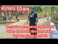 Lagu Jembatan yg sempat jebol  kini telah diperbaiki dan kendaraan dapat melintaslagi#viral #kuwuedan
