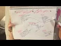 Concept Mapping for Anatomy Physiology