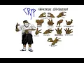 Learn abouts da Crip gang signs