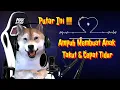 Download Lagu Suara Anjing Menggonggong ⁉️ Dog Sound Pengantar Tidur 4n4K