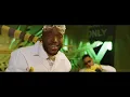 Felo Le Tee & Myztro - 66 & Dipatje Tsa Felo (Official Video) ft. Daliwonga
