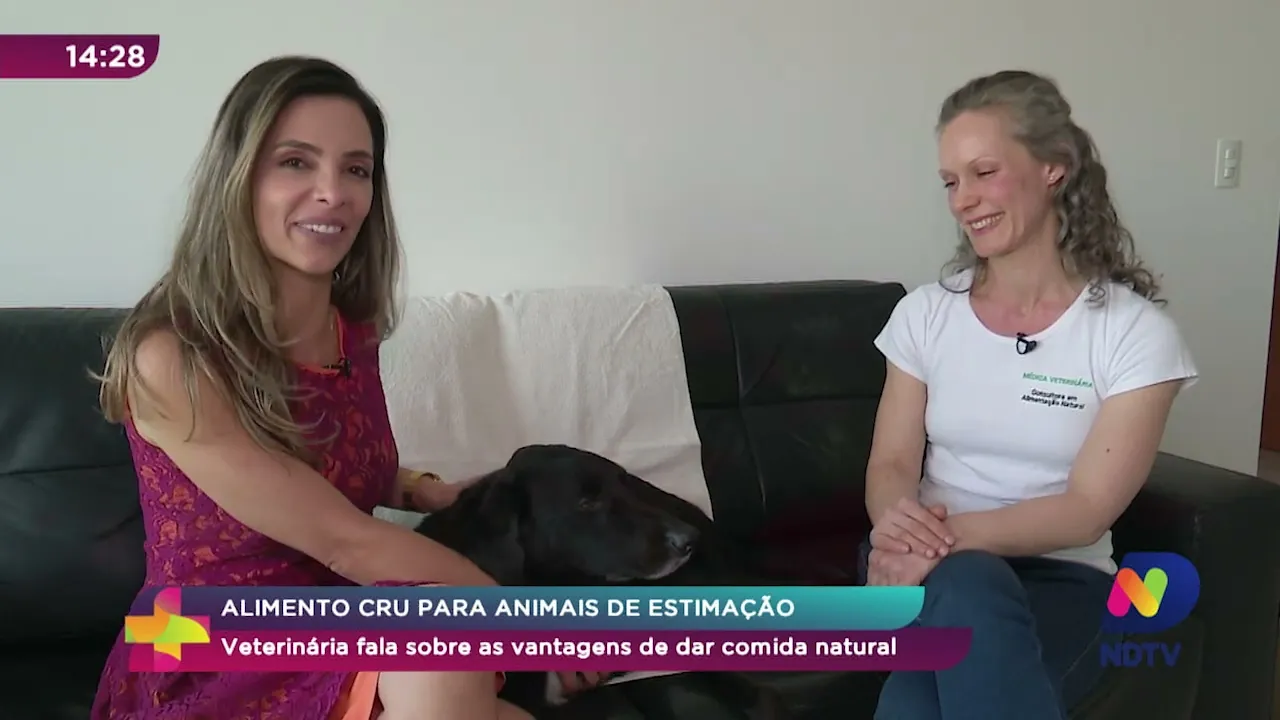 Veterinária fala sobre as vantagens de dar comida natural aos animais de estimação