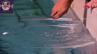 أقدام ميرفت آمين    دندنها