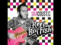 Beer (Skacoustic)
