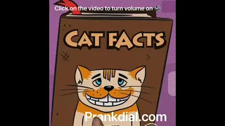 PrankDial Cat Facts