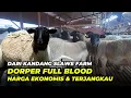 Download Lagu Review Harga Domba Dorper Full Blood Di Slawe Farm Terkini | @AGROTV9 