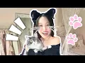 Download Lagu Aku Berubah Jadi Kucing?! [I Am Cat Indonesia]