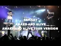 Download Lagu Skillet - Awake And Alive (iTunes Session) (Awake And Alive Tour Version, Leg 1) (Version 1)