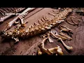 20,000 Years Ago the Ice Drove EVERY Human Out of Northern Europe - Only a Few Valleys Survived