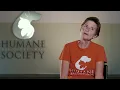 Dubuque Regional Humane Society - Meet Teddy