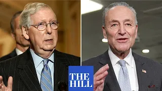 Schumer blames Mitch McConnell s wife for blocking vital NYC project