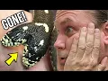 WHEN YOUR TWO HEAD SNAKE ESCAPES BRIAN BARCZYK