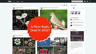 Can You Still Use Flickr In 2022