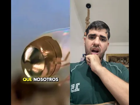 Apuesto mi fortuna que no sabías esto 😱😳 #viral #dúo #datoscurisos #yosoydelos7mil #parati