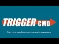 TRIGGERcmd Demo and Instructions