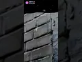 fairviewhttps media tenor gif