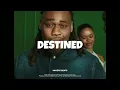 "DESTINED" - Afropop Instrumental 2026 x Burna Boy x Fola x Emotional Afrobeat TypeBeat