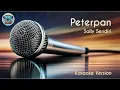 Download Lagu PETERPAN - SALLY SENDIRI (Karaoke Version)