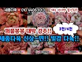 세종다육에 찐빛감 다육들 착한가격에 골라보세요!! 퍼플봉봉강추!!#초보다육 #다육쇼핑
