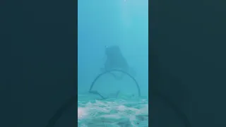 A day in the life aboard my sailboat in Mexico