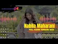 Download Lagu Nabila Maharani Full Album Terbaru 2022