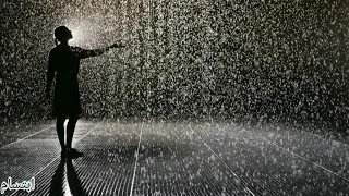 نصف ساعة من صوت المطر والرعد للاسترخاء Relaxing Night Rain 