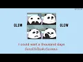 Download Lagu GLOW - bear bear \u0026 friends [Thaisub]