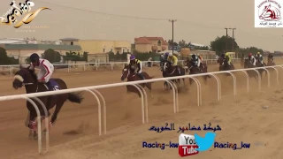 ضجيج لاسطبل الفرماوي دندنها