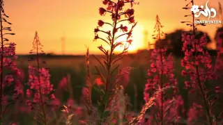 الميزان   أداء حمود الخضر بدون موسيقى دندنها