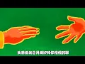 最美好的时光(Live)-陈娴静