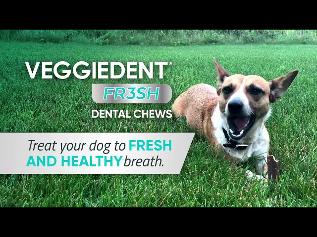 Virbac Veggiedent Dental Chews for Dogs