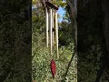 Download Lagu Wind chimes with a nice message!