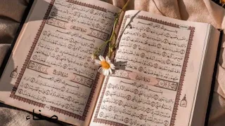 نشيد اقرأ ليسكت مطرب مترنح  صفاء  دندنها