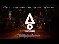 BLOND:ISH & Stevie Appleton - Never Walk Alone (Alex Wann Remix)  - Afro House