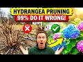 99 prune hydrangeas wrong in spring - Don t lose your flowers