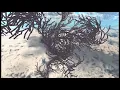 Unity 3D - Tree Generation with L-System Lindenmayer System