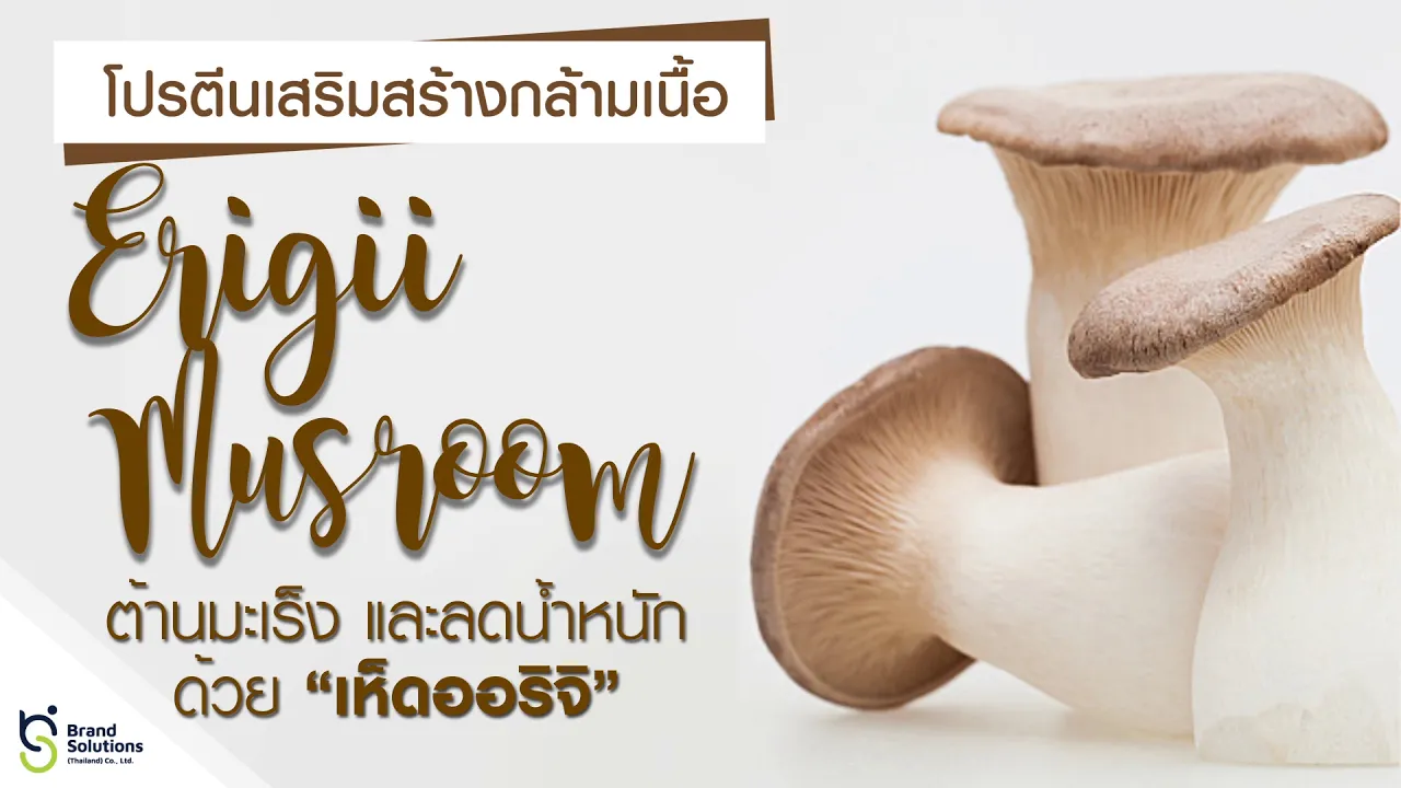 ใหม่ !! NAMU LIFE SNAILWHITE DAY CREAM รวมพลังการฟื้นบำรุงและปกป้องผิวในหนึ่งเดียว 30 sec