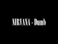 Nirvana - Dumb - Unplugged In NewYork